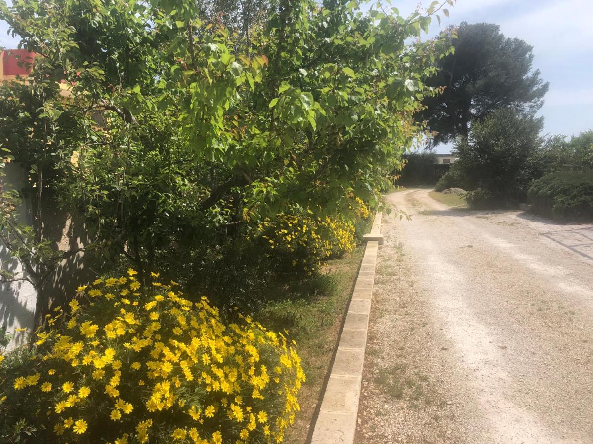 Bed and Breakfast Mazzara Farm Manduria Esterno foto